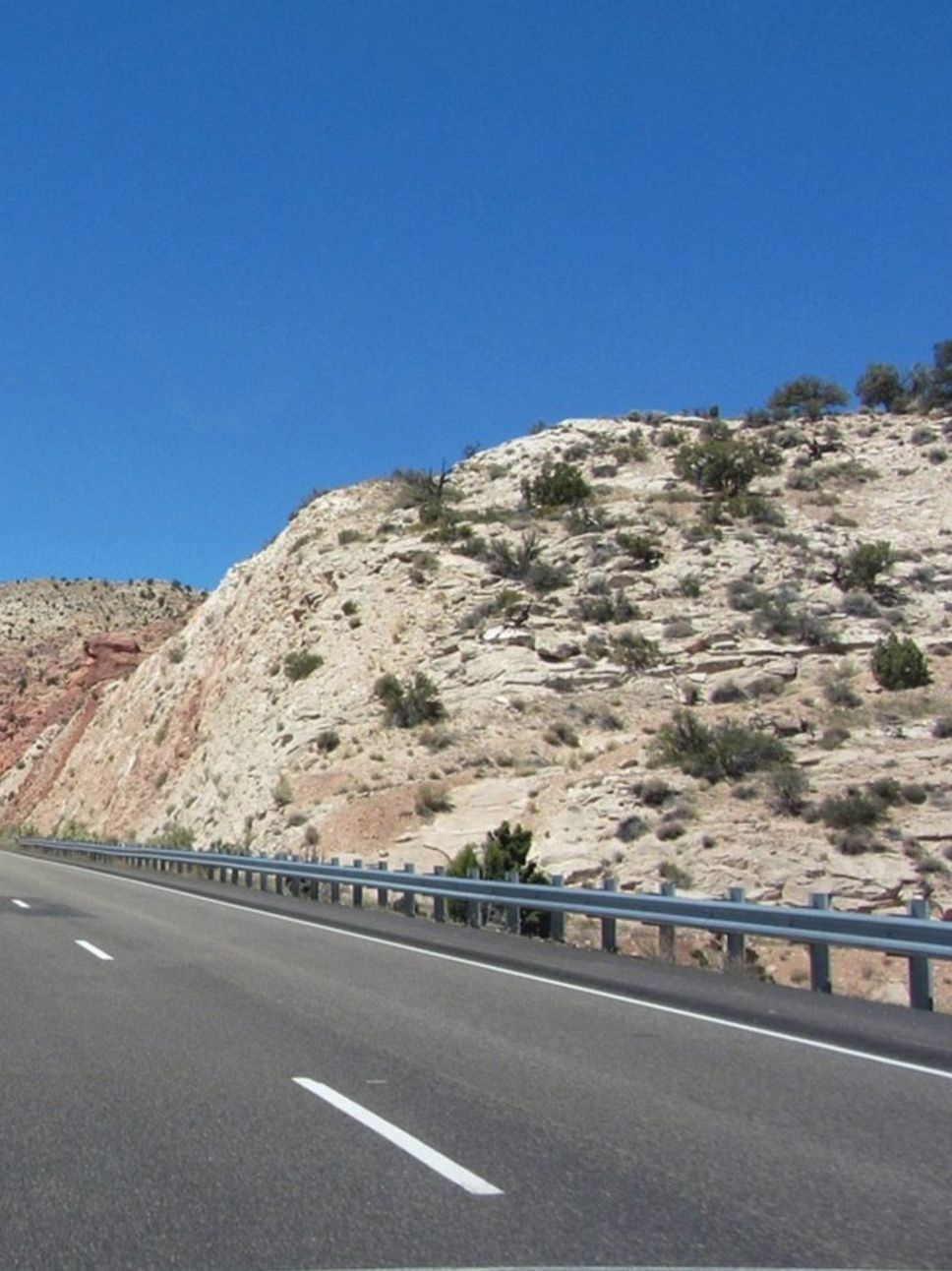Ruta de granjas por caminos rurales